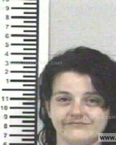 Booking photo of SOMMER MICHELE STAFFORD, Franklin County, Jun 20, 2013