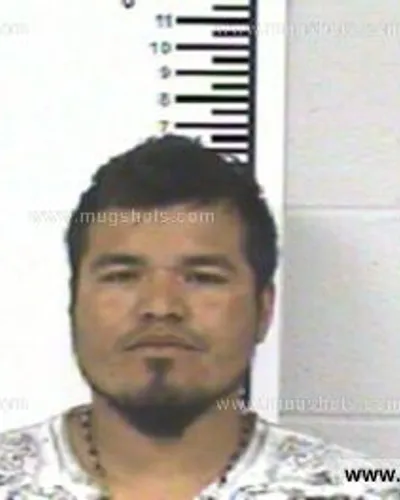 Booking photo of GABRIEL DAMIAN, Franklin County, Mar 18, 2013