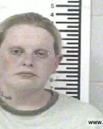 Booking photo of ELISHA RENEA MILLER, Franklin County, May 30, 2013