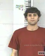 Booking photo of ALEX DEWAYNE LANGFORD, Franklin County, Mar 30, 2013