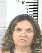 Booking photo of PATRICIA ANN BEAVERS, Franklin County, Jul 27, 2013