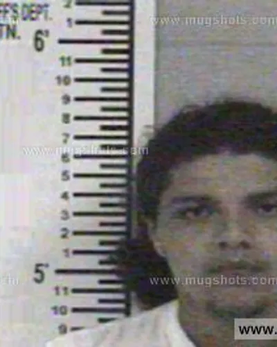 Booking photo of GUADALUPE HERNANDEZ MILLER, Franklin County, May 17, 2014