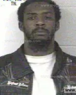 Booking photo of RICKY LAWRENCE MCGEE, Franklin County, Feb 13, 2013