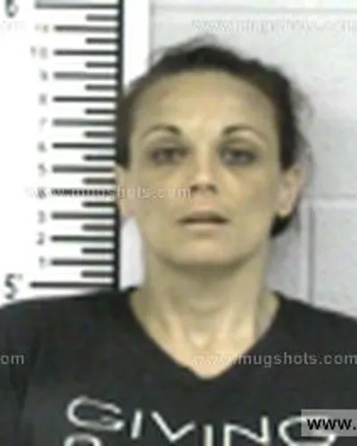 Booking photo of Clemons Meghan Elizabeth, Franklin County, Jun 17, 2017