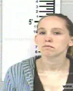 Booking photo of TOSHA NICOLE BOHANAN, Franklin County, Mar 21, 2013