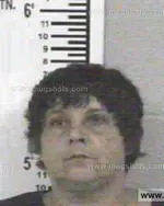 Booking photo of TAMMY RENEE STEELE, Franklin County, May 18, 2013