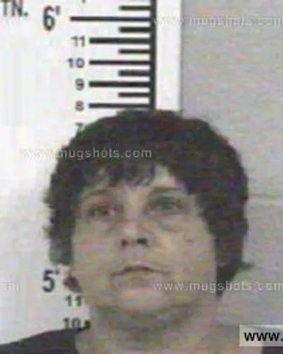 Booking photo of TAMMY RENEE STEELE, Franklin County, May 18, 2013