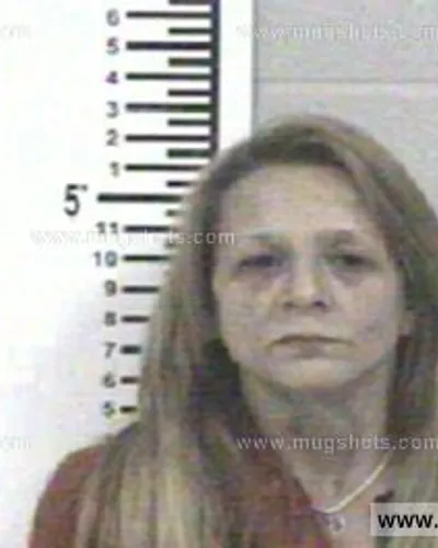 Booking photo of TAMMY TRACY JOHNSON, Franklin County, Feb 16, 2013