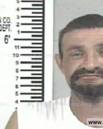 Booking photo of SHANNON LEE MAHAFFEY, Franklin County, May 28, 2014