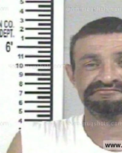 Booking photo of SHANNON LEE MAHAFFEY, Franklin County, May 28, 2014