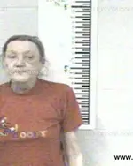 Booking photo of SHERRY DARLENE FORD, Franklin County, May 1, 2013