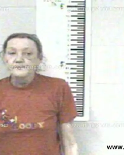 Booking photo of SHERRY FORD, Franklin County, May 1, 2013