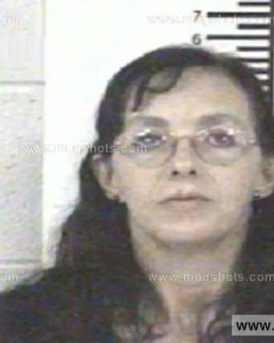 Booking photo of TIFFANY MARIE ELLIOTT, Franklin County, Nov 23, 2013