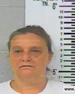 Booking photo of SHERRY L HOLLAND, Franklin County, Jul 3, 2013