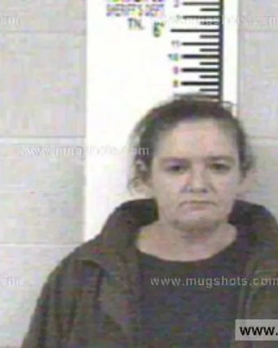Booking photo of CANDY MICHELLE REESE, Franklin County, Feb 10, 2013