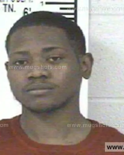 Booking photo of CORTEZ BENARD TURNER, Franklin County, Nov 16, 2013