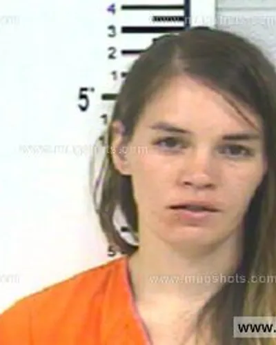 Most recent booking photo for LINDA MARIE SWEETON