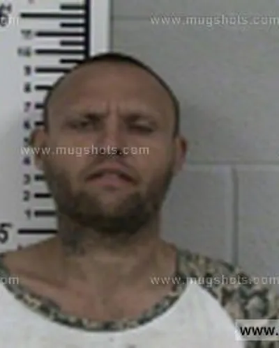 Booking photo of Hicks Lee, Franklin County, Jan 5, 2017