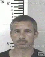 Booking photo of DAVID TRAVIS GOINS, Franklin County, Apr 12, 2014