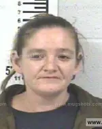 Booking photo of CANDY MICHELLE REESE, Franklin County, Mar 2, 2013
