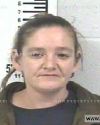 Booking photo of CANDY MICHELLE REESE, Franklin County, Mar 2, 2013