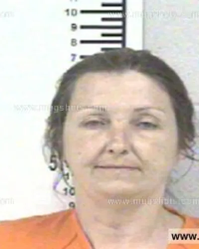 Booking photo of MITZIE ROLLINS, Franklin County, May 25, 2014