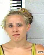 Booking photo of ASHLEY NICOLE GIPSON, Franklin County, Jul 11, 2013