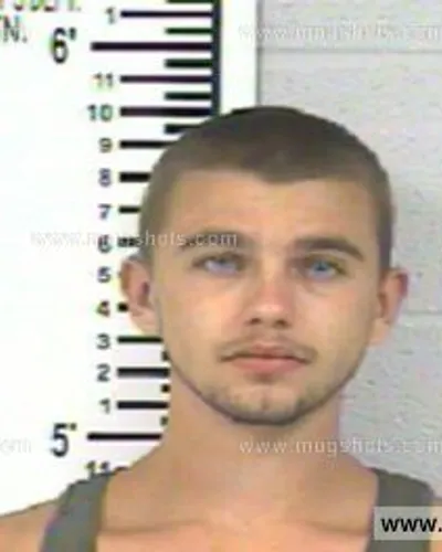 Booking photo of MICHAEL VANN, Franklin County, Jul 28, 2013