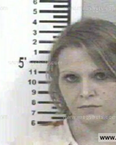Most recent booking photo for ANGELA MARIE HEATH