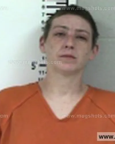 Booking photo of Sullivan Michelle, Franklin County, Mar 22, 2017