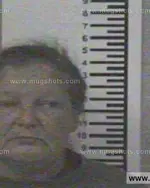 Booking photo of JANIE ANN GASS, Franklin County, Nov 7, 2013