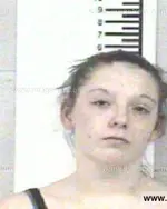 Booking photo of ANGELA RENEE SIMS, Franklin County, Apr 5, 2013