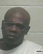 Booking photo of Tracy S Williams, Giles County, Jan 20, 2015