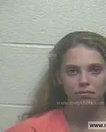 Booking photo of Amber Dawn Pitts, Giles County, Apr 29, 2013