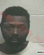 Booking photo of TRAVIS DEWAYNE HOWARD Jr., Giles County, Feb 22, 2018