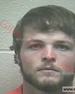 Booking photo of Creagan Lee Lewter, Giles County, Jan 8, 2018