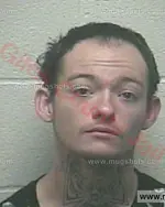 Booking photo of Michael Wayne Alexander Polly, Giles County, Feb 15, 2018