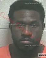 Booking photo of WILLIAM KEITH HOLDEN, Giles County, Jul 31, 2017