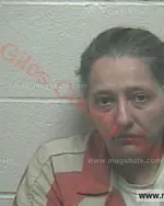 Booking photo of Louanne Marie Armstrong, Giles County, Mar 30, 2017
