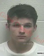 Booking photo of Zachary John-Edward Vannesse, Giles County, Mar 5, 2017