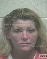 Booking photo of Kimberly Ann Vargas, Giles County, Aug 12, 2014