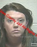 Booking photo of Kristina Danielle Boone, Giles County, Feb 15, 2020