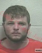 Booking photo of Creagan Lee Lewter, Giles County, May 28, 2017