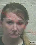 Booking photo of Erica Ann Brewer, Giles County, Nov 26, 2015