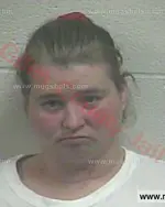Booking photo of Vicki Lynn Brown, Giles County, May 24, 2017