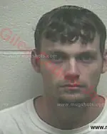 Booking photo of Cody Shay Hollis, Giles County, Jul 12, 2017