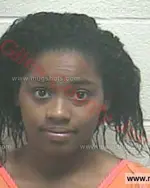 Booking photo of Pamper Me Isis Fears, Giles County, Jul 21, 2017