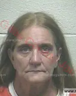 Booking photo of Robin Ann Brown, Giles County, Aug 21, 2017