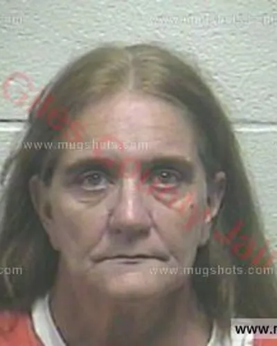 Most recent booking photo for Robin Ann Brown