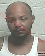 Booking photo of Nicholas Jerome Nelson, Giles County, Aug 13, 2016